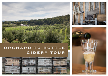 Orchard to Bottle Cidery Tour & Tasting Experience